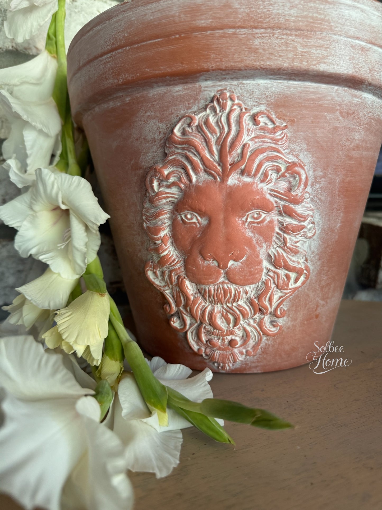 Leonidas Lion Mould IOD, Iron Orchid Designs Mold, 5" x 7"