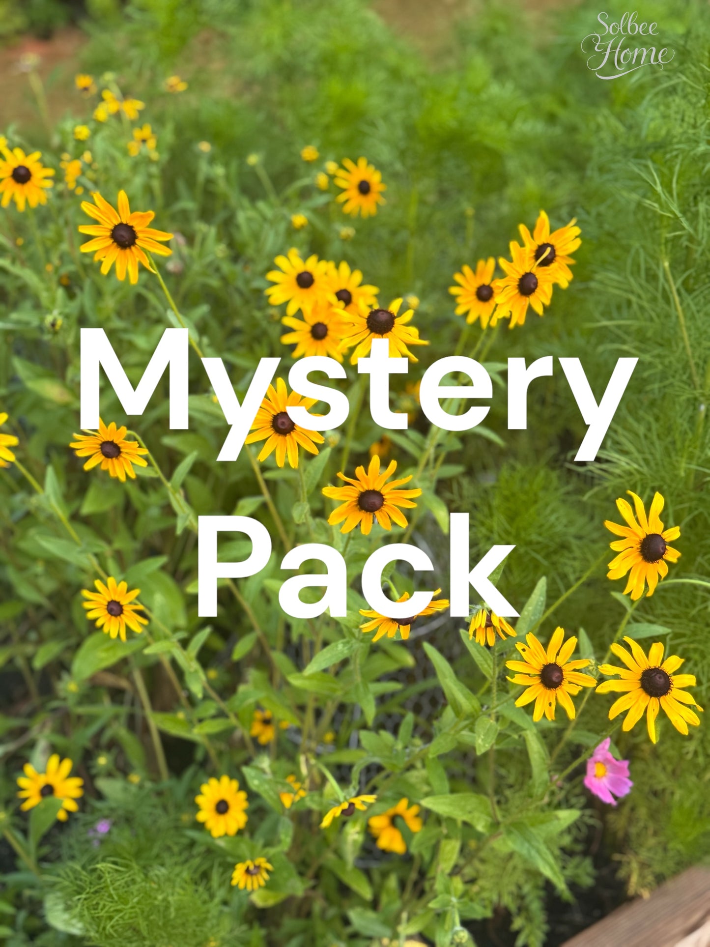 Mystery Pack 3 Craft Supply Items