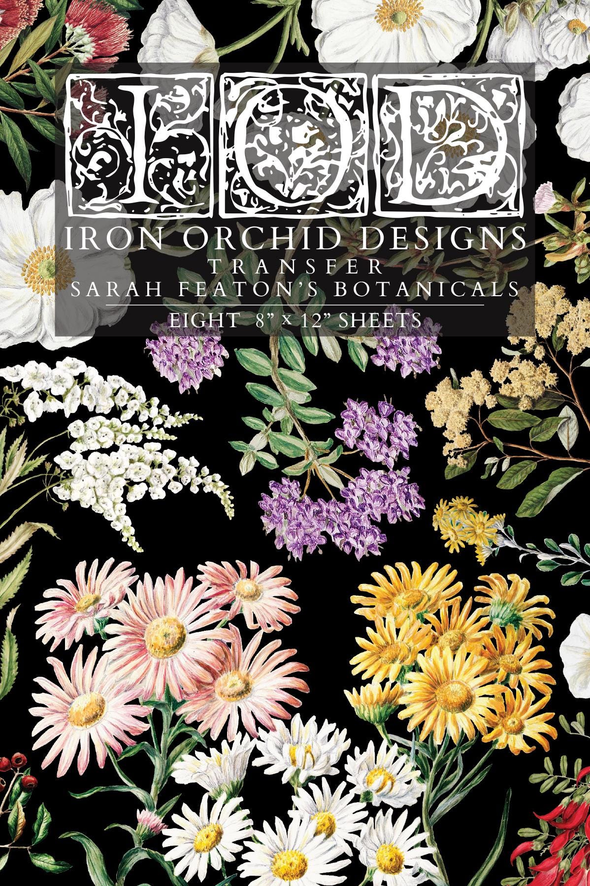 IOD Sarah Featon's Botanicals Transfer pack Iron Orchid Designs NEW