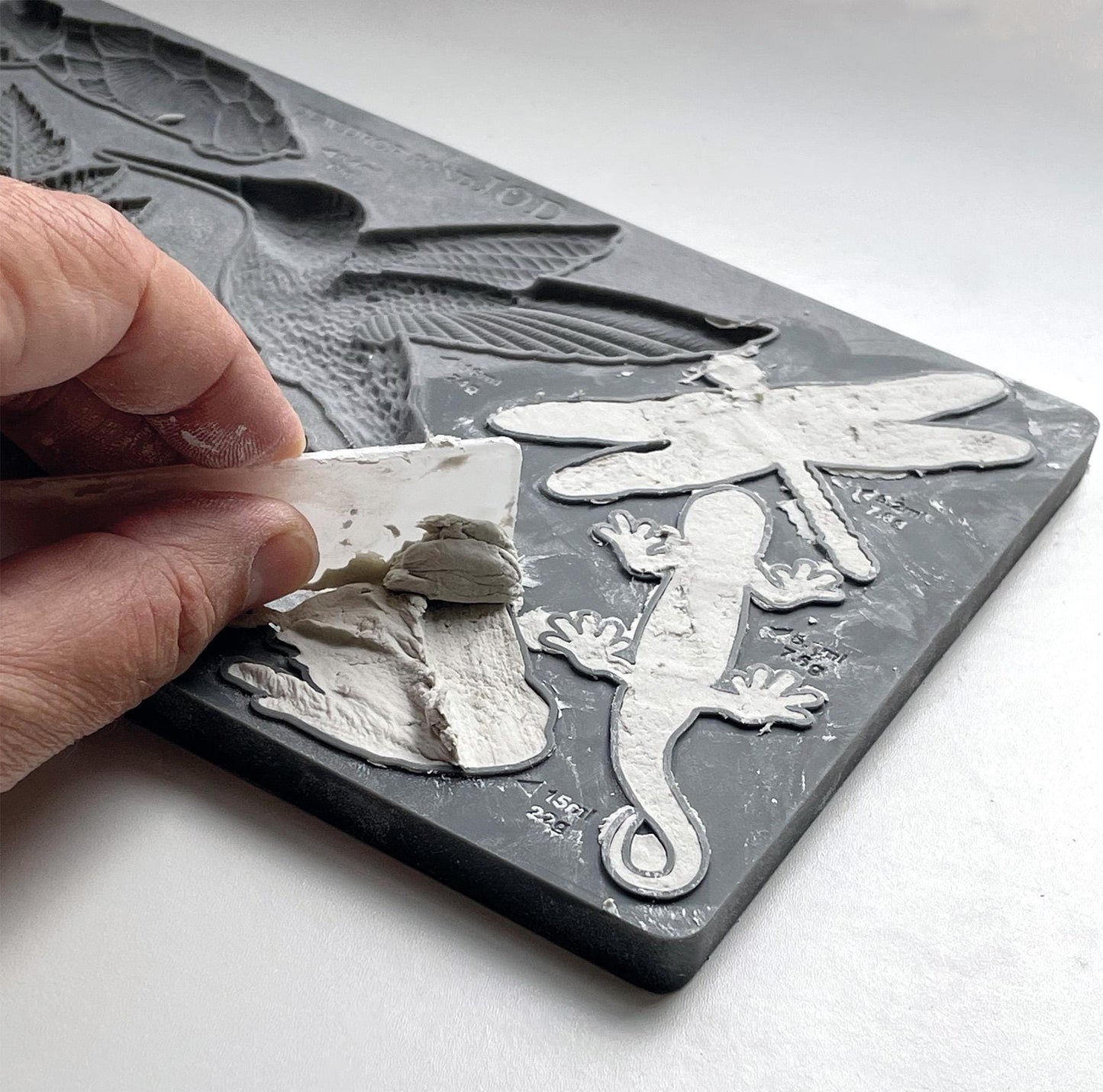 Dewdrop Pond Mould IOD, Iron Orchid Designs Mold, Hummingbird