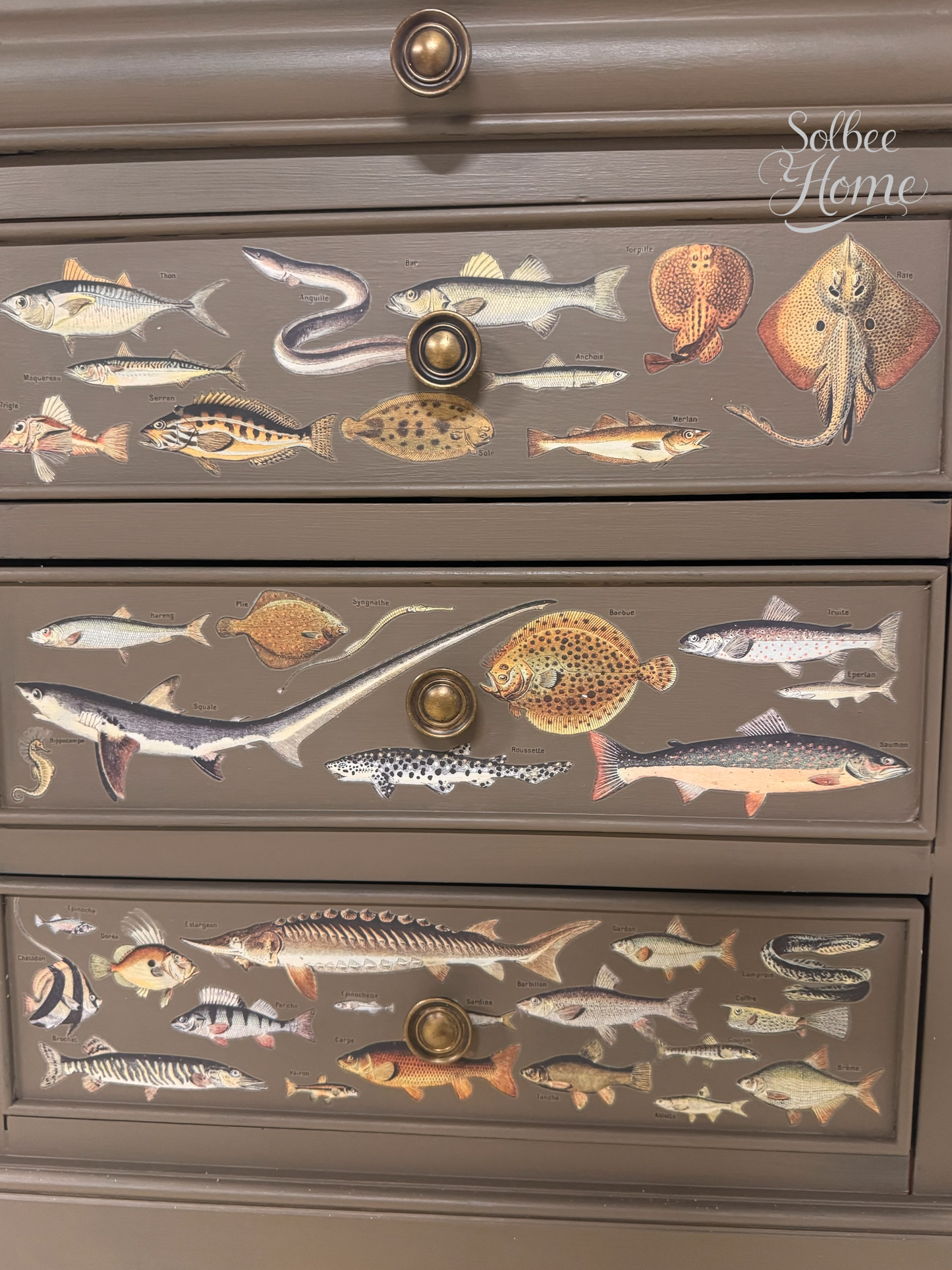 Millot's Pages IOD Transfer 12 x 16 Pad