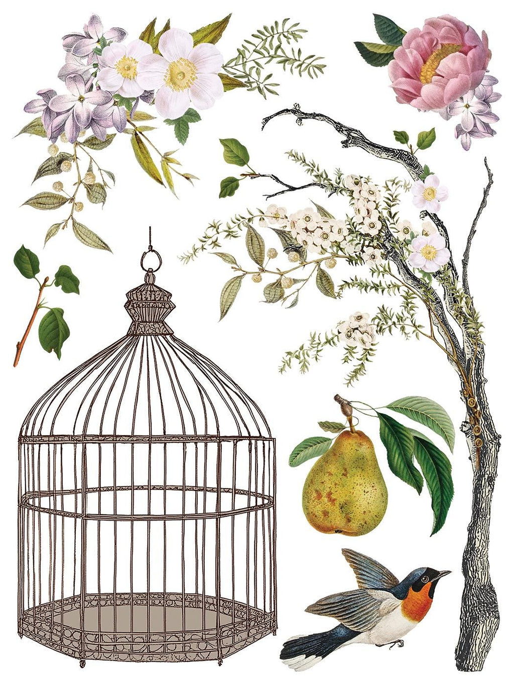IOD Menagerie Transfer pack Iron Orchid Designs NEW Florals, Bird Cage