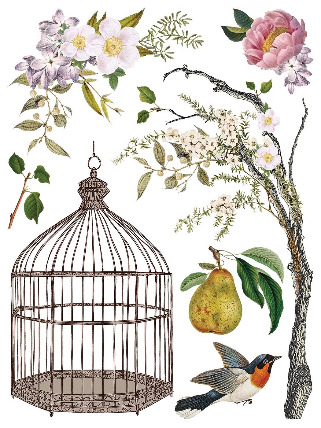 IOD Menagerie Transfer pack Iron Orchid Designs Florals, Bird Cage