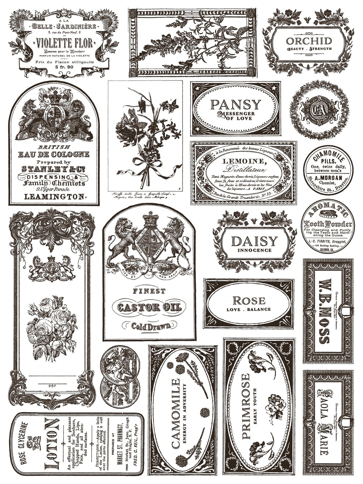 Floriography Paint Inlay IOD NEW, Iron Orchid Designs, Vintage style