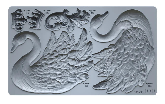 SWANS 6X10 IOD MOULD