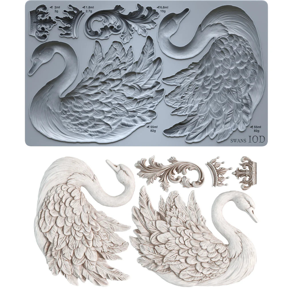 SWANS 6X10 IOD MOULD