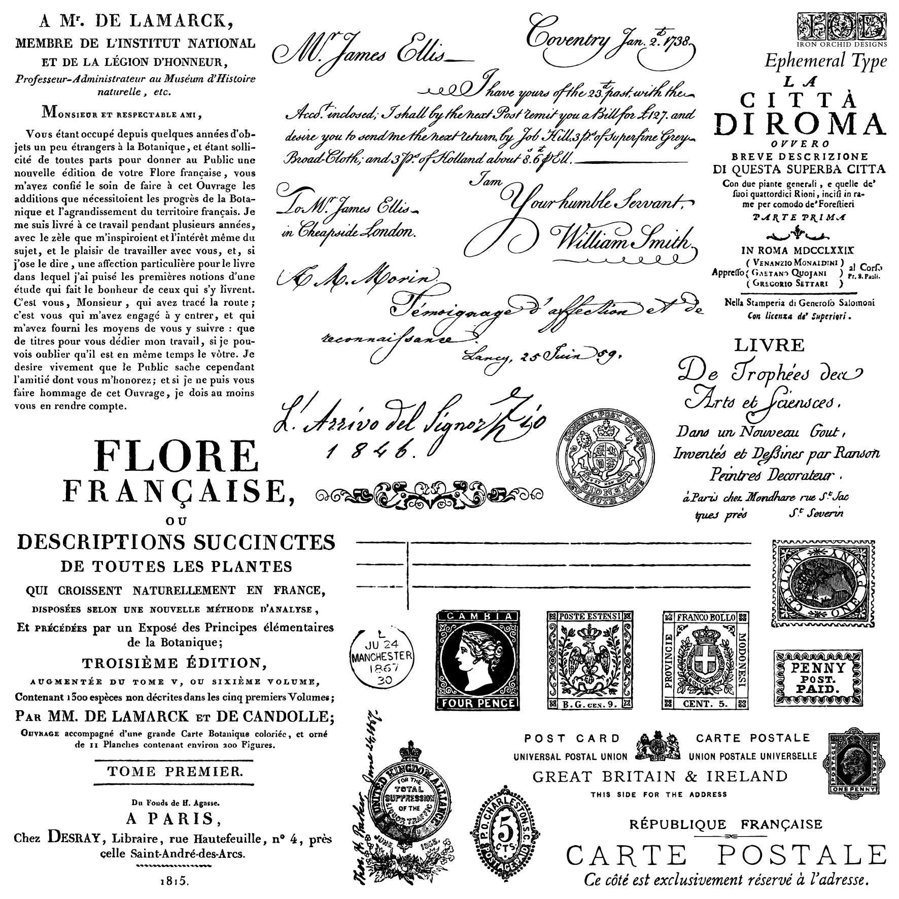 IOD Ephemeral Type Stamp, Iron Orchid Designs, Stamp Set