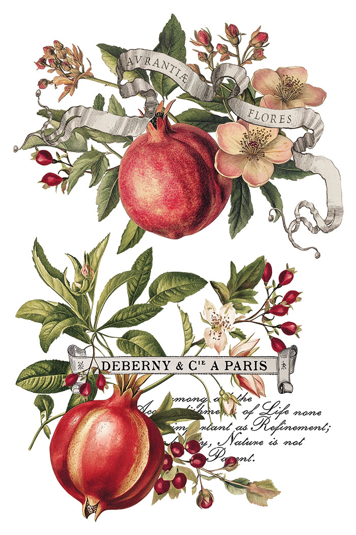 IOD Clementine Transfer Pack Iron Orchid Designs NEW Christmas 8x12 Pad