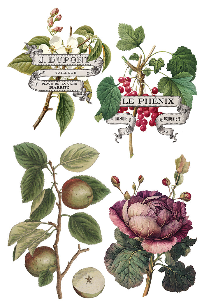 IOD Clementine Transfer Pack Iron Orchid Designs NEW Christmas 8x12 Pad