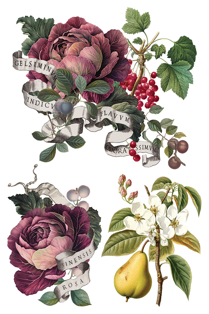 IOD Clementine Transfer Pack Iron Orchid Designs NEW Christmas 8x12 Pad
