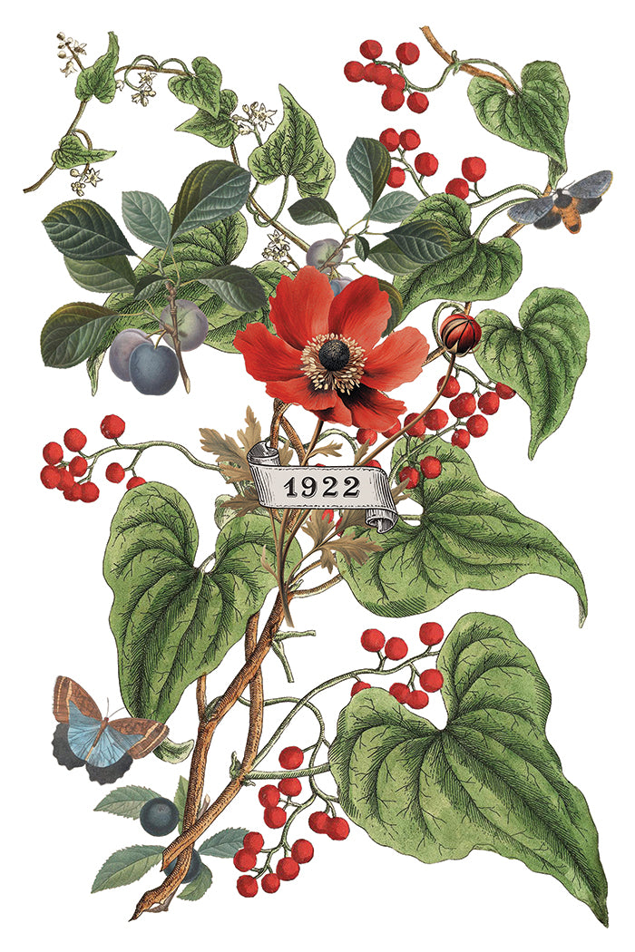 IOD Clementine Transfer Pack Iron Orchid Designs NEW Christmas 8x12 Pad