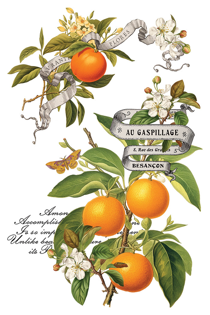 IOD Clementine Transfer Pack Iron Orchid Designs NEW Christmas 8x12 Pad
