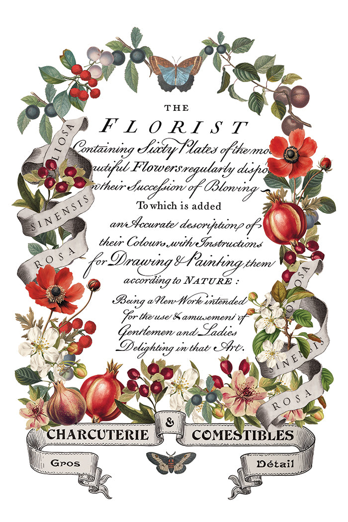 IOD Clementine Transfer Pack Iron Orchid Designs NEW Christmas 8x12 Pad