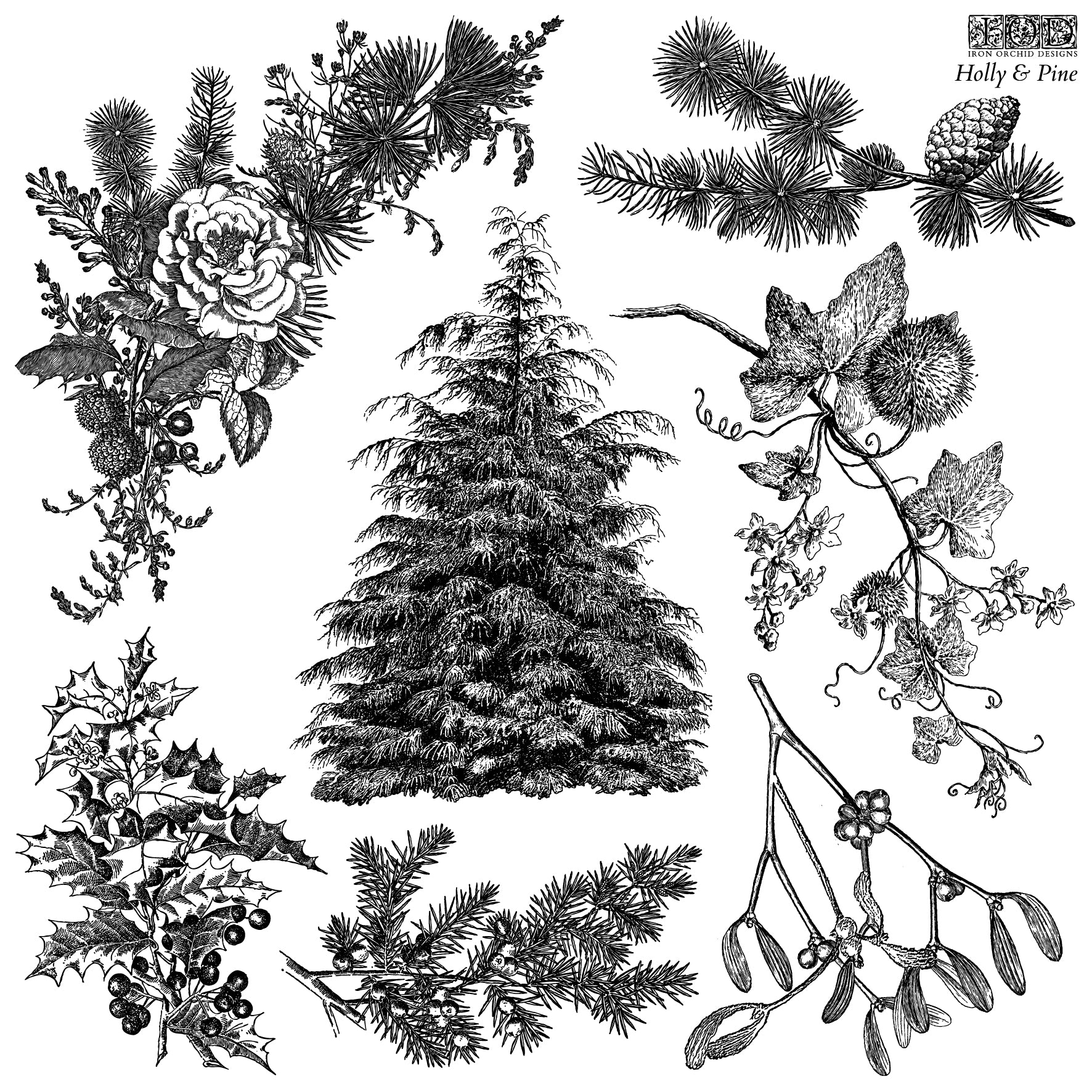 Holly & Pine Stamp Set, Iron Orchid Designs, Stamp Set NEW Christmas IOD