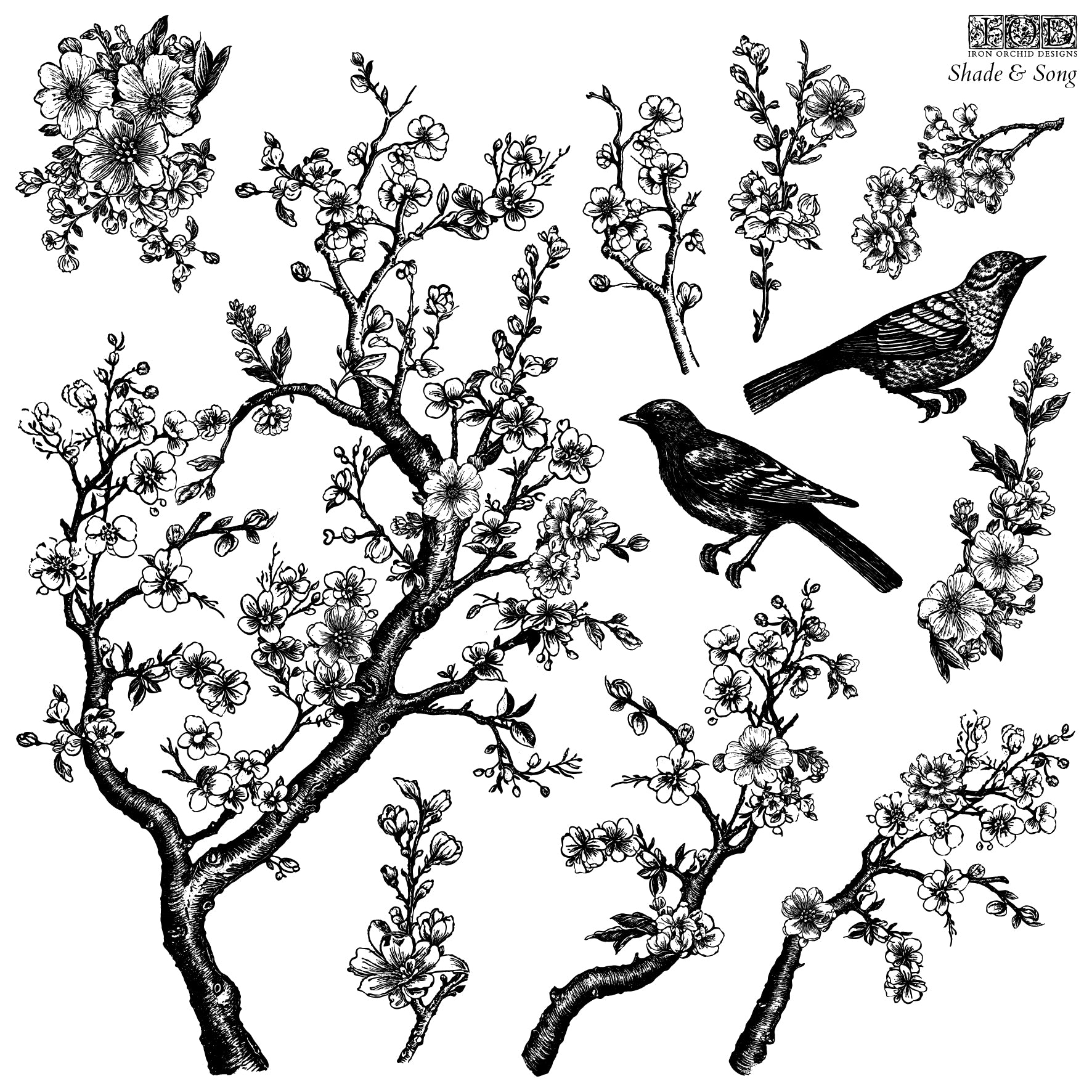 IOD Shade & Song Stamps, Iron Orchid Designs, Stamp Set Birds, Spring, Florals