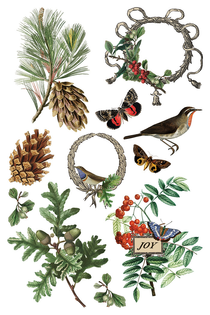IOD Winter Botanist Transfer Pack Iron Orchid Designs NEW Christmas 8x12 Pad