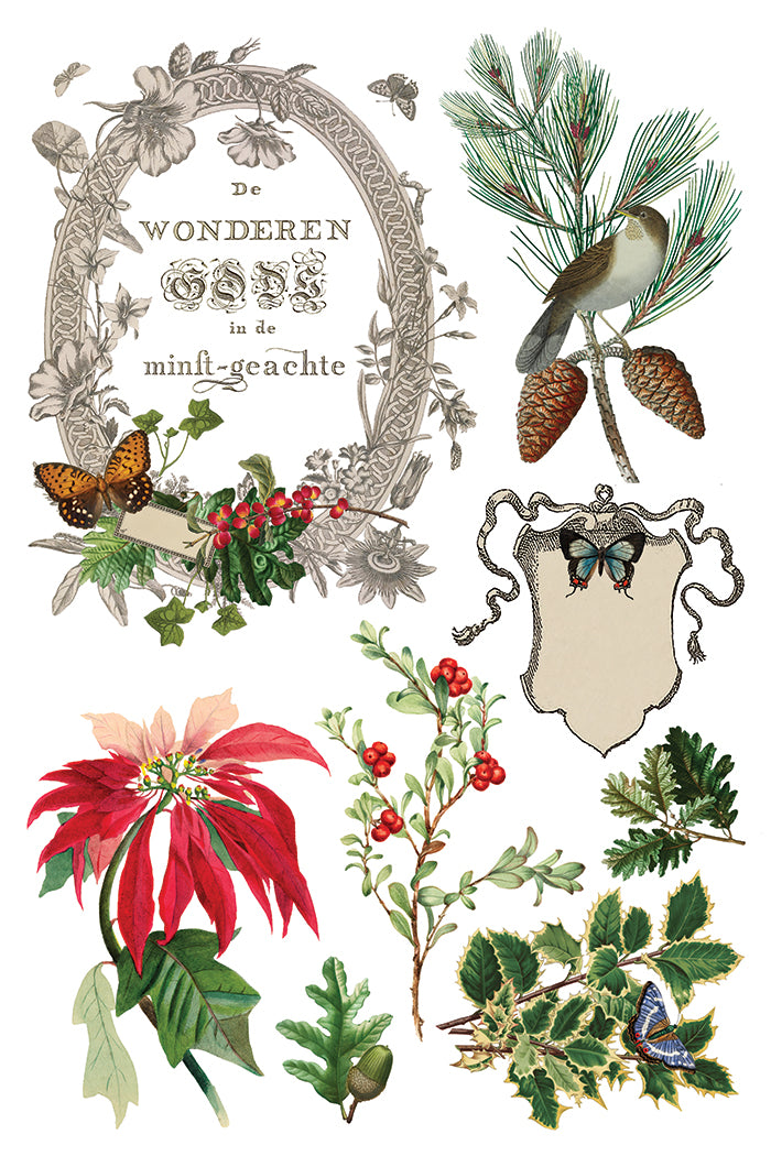 IOD Winter Botanist Transfer Pack Iron Orchid Designs NEW Christmas 8x12 Pad