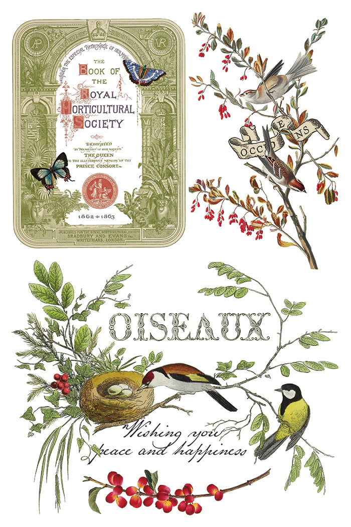 IOD Winter Botanist Transfer Pack Iron Orchid Designs NEW Christmas 8x12 Pad