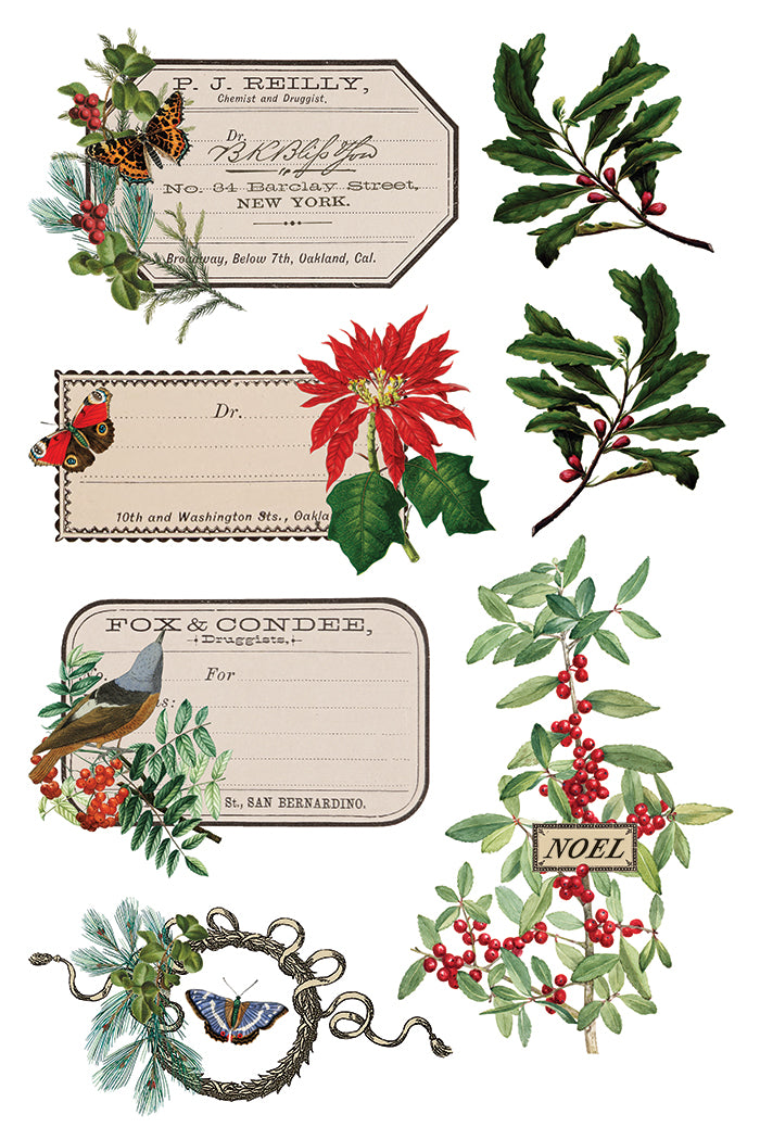 IOD Winter Botanist Transfer Pack Iron Orchid Designs NEW Christmas 8x12 Pad