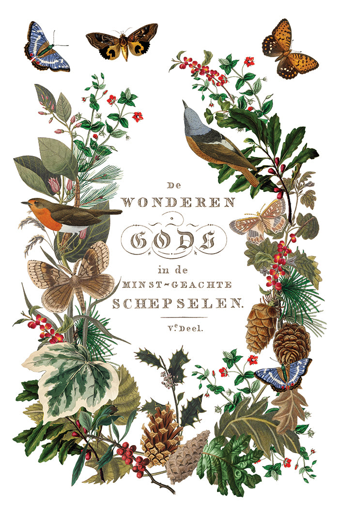 IOD Winter Botanist Transfer Pack Iron Orchid Designs NEW Christmas 8x12 Pad