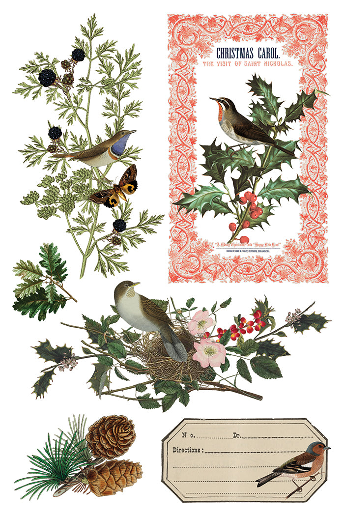 IOD Winter Botanist Transfer Pack Iron Orchid Designs NEW Christmas 8x12 Pad