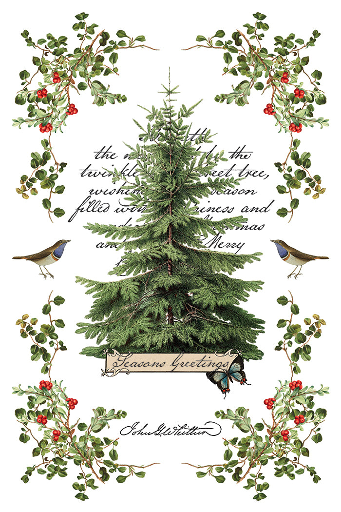 IOD Winter Botanist Transfer Pack Iron Orchid Designs NEW Christmas 8x12 Pad