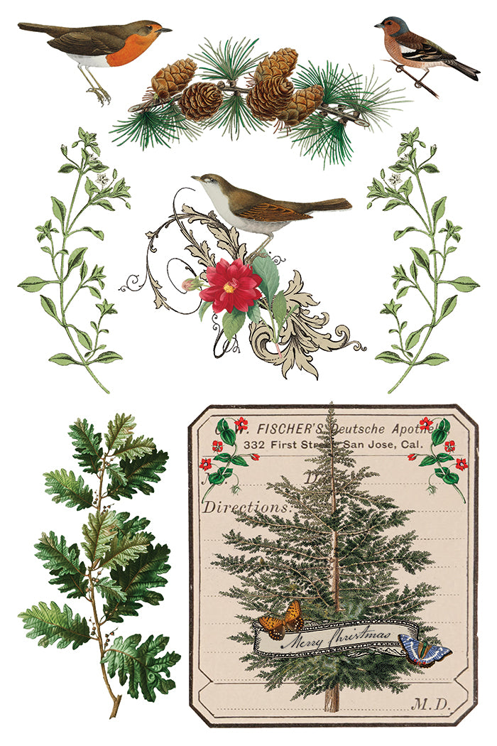 IOD Winter Botanist Transfer Pack Iron Orchid Designs NEW Christmas 8x12 Pad