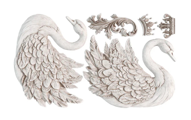 SWANS 6X10 IOD MOULD