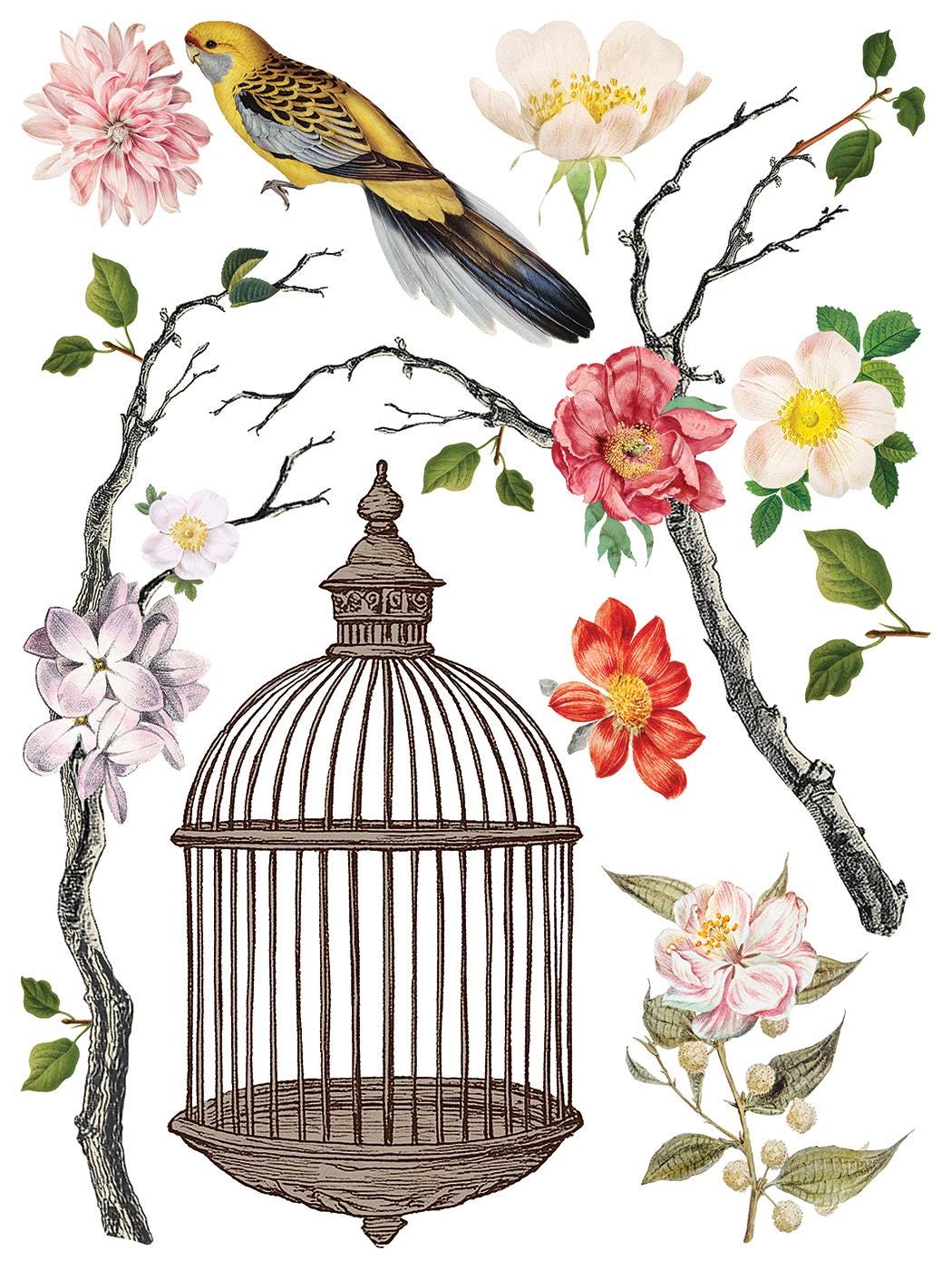 IOD Menagerie Transfer pack Iron Orchid Designs Florals, Bird Cage