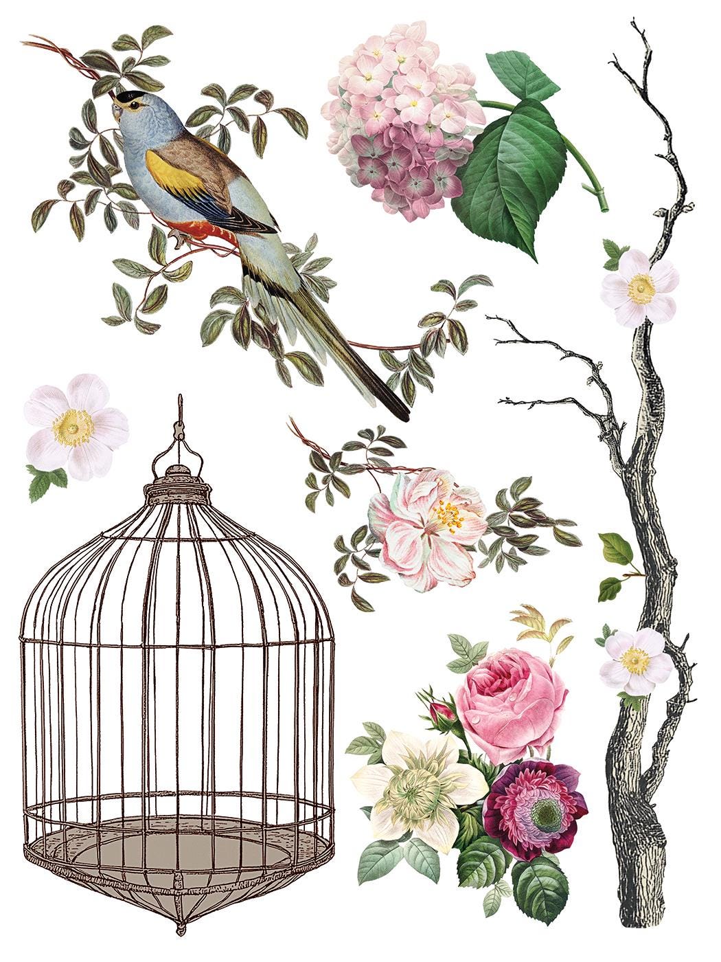 IOD Menagerie Transfer pack Iron Orchid Designs Florals, Bird Cage