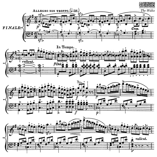 The Waltz 12x12 IOD Stamp™