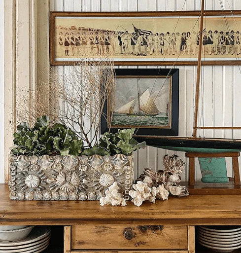 Sea Shells 6x10 IOD Mould