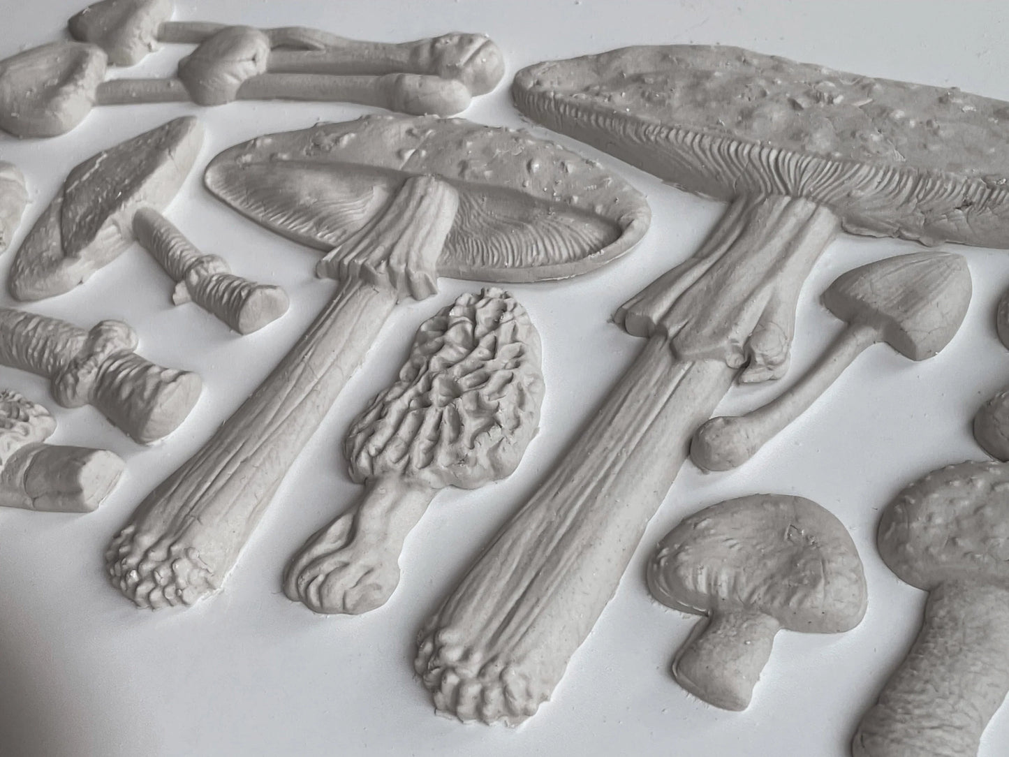 Toadstool 6X10 IOD Mould