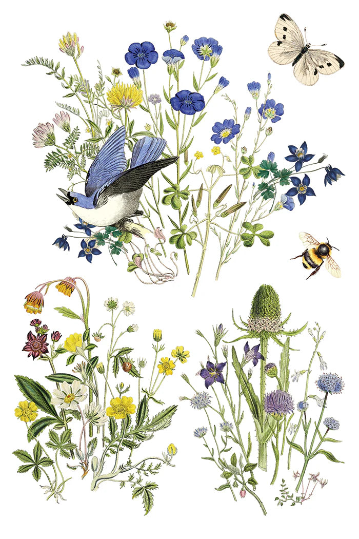 Flora Greca IOD Transfer 8x12 Pad