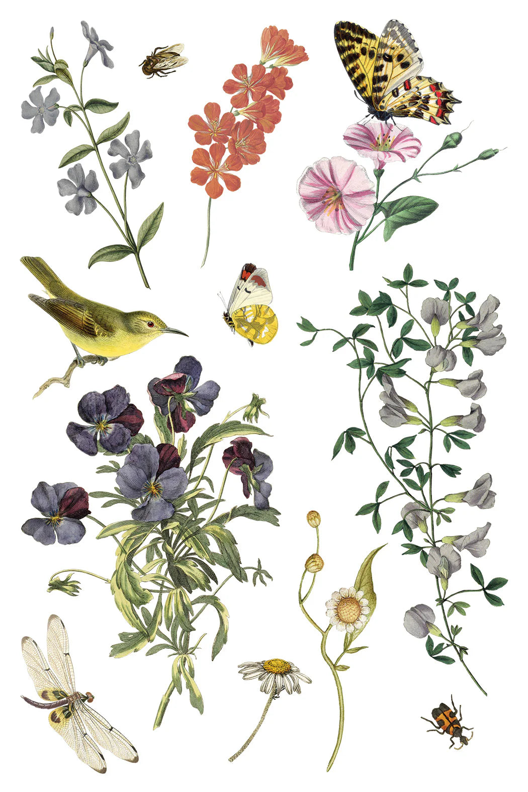 Wilde Bloemen IOD Transfer 8 x 12 Pad