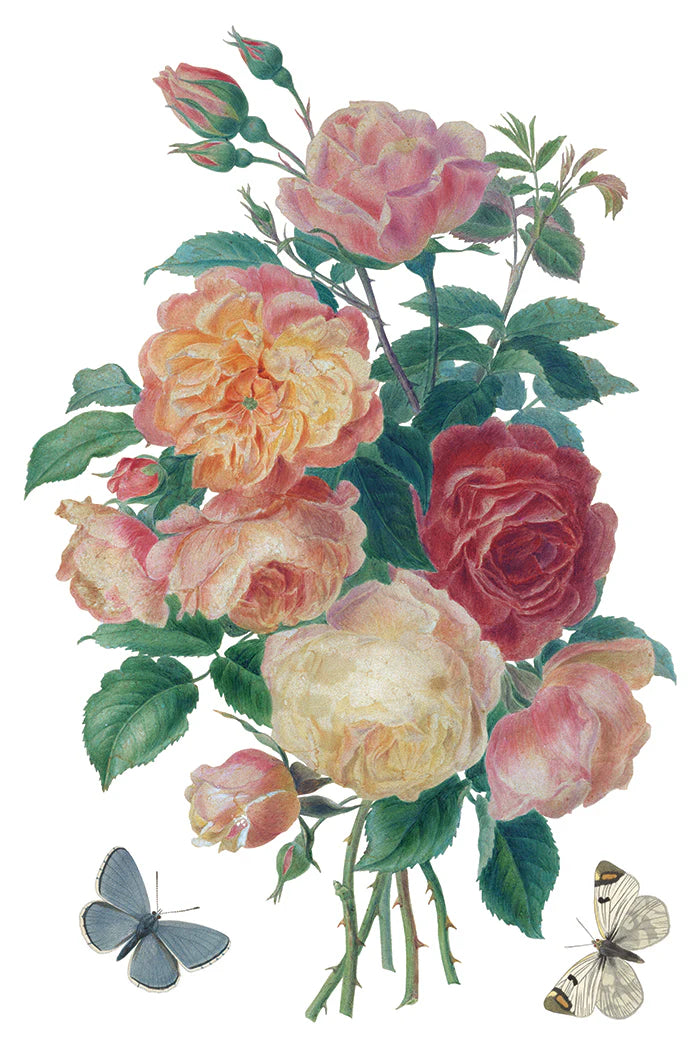 Saint Ouen IOD Transfer 8x12 Pad