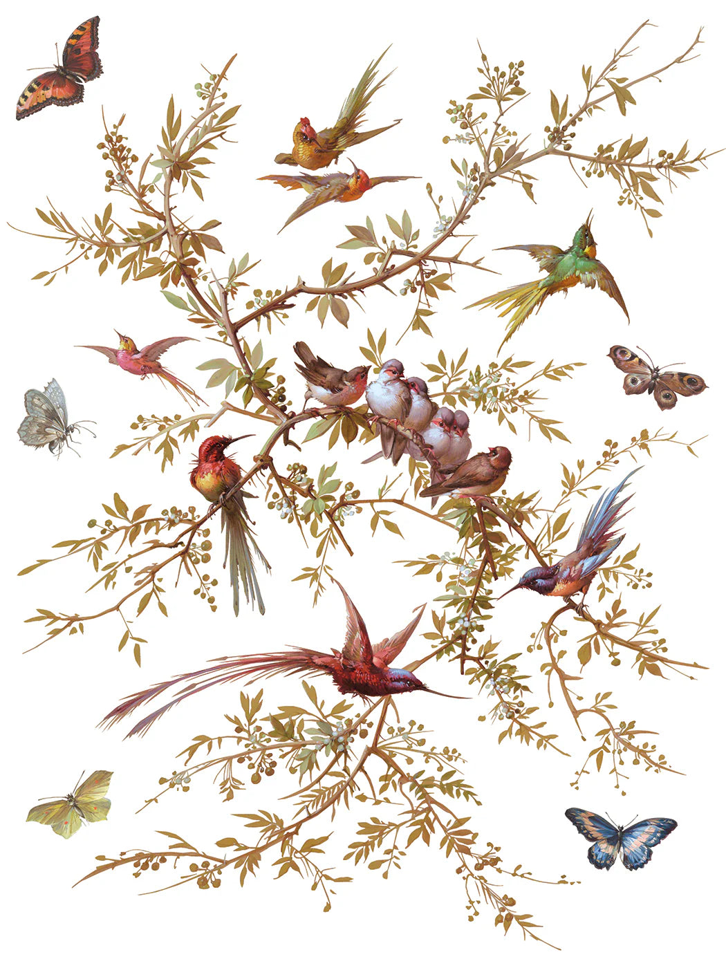 Madeleine IOD Transfer 12x16 Pad