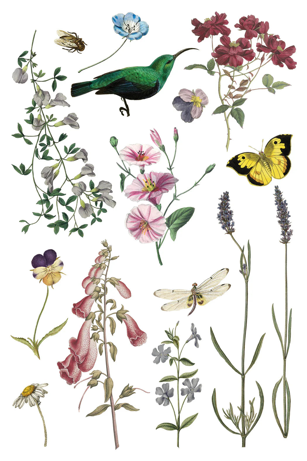 Wilde Bloemen IOD Transfer 8 x 12 Pad